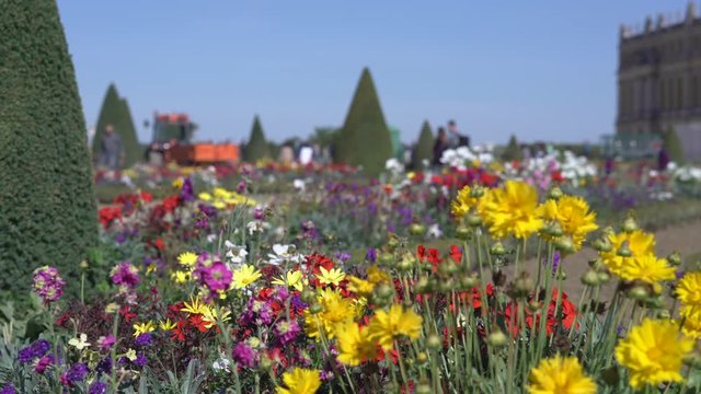 Flowers in Versailles palace garden - September 2018: Versailles, France