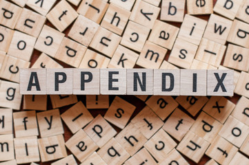 Appendix word concept