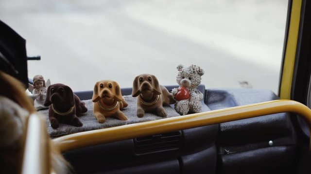 Toy dog in the car waving his head