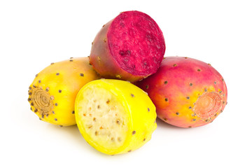 yellow and red prickly pear or opuntia isolated on a white background