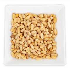 Pine Nuts