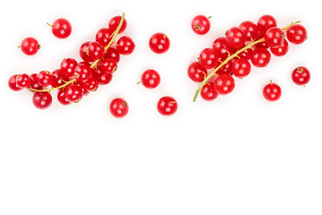 Red currant berry isolated on white background with copy space for your text. Top view. Flat lay pattern