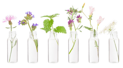 Obraz premium Bottle herbs on white FLORITERAPIA Bacha.