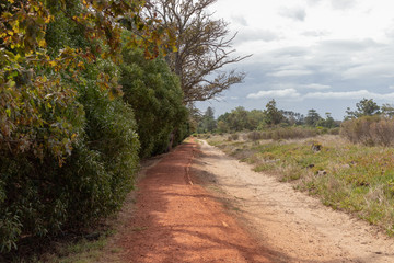 Lower Tokai Park