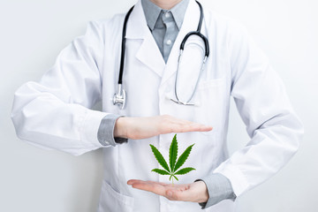 Arzt im weißen Kittel mit Cannabis Hanf Blatt als Medizin CBD