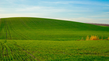Obraz premium Countryside landscape II