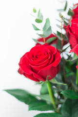 A bouquet of red roses on a white background. A gift for a loved one.