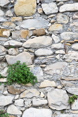Detail view of an ancient stone wall in the village of Borgo Cervo in liguria Italy. Useful as a background.