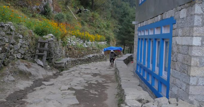 village life of a young boy in nepal carrying doko