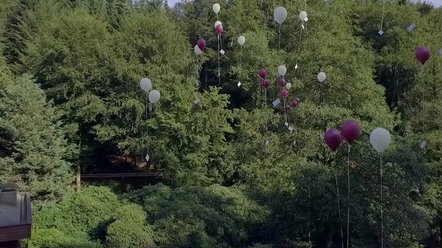 some Balloons rise in the sky