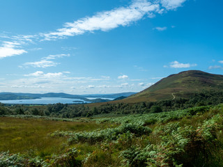 blue lake (loch lochmond) on a sunny day with flowers and meadow