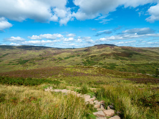 path in heather landscape in the lowlands of scotland