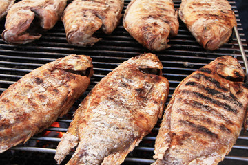 fish on the grill