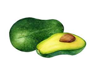 Ripe whole and cut in half of avocado (also called an avocado pear, butter fruit or alligator pear). Hand drawn botanical watercolor painting illustration isolated on white background.