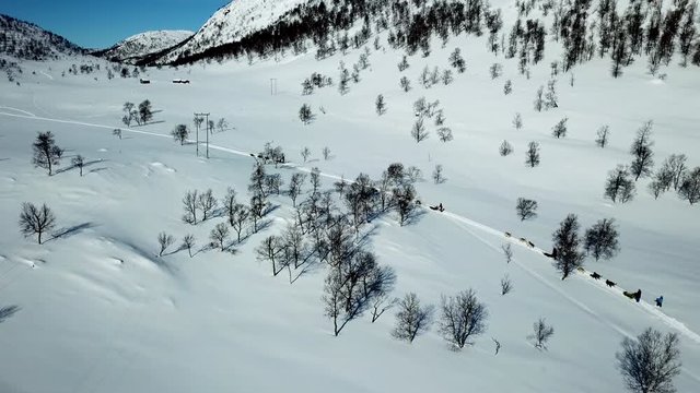 Aerial, static, drone shot, of dogs sledding people in sledges, between snowy mountains and leafless trees, in Norwegian wilderness, on a sunny, winter day, in Norway
