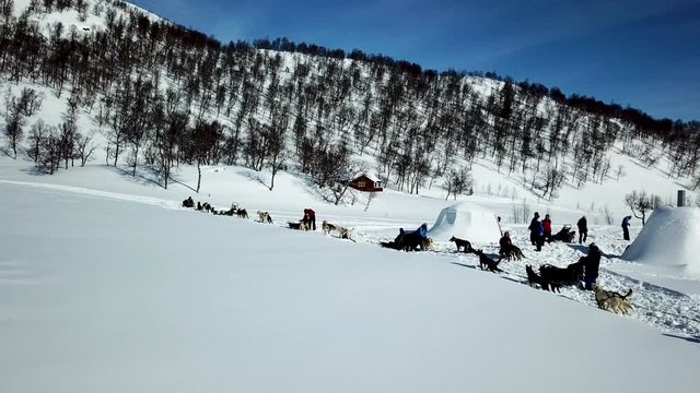 Static shot, of dogs taking a break, after sledding people around in sledges, waiting at igloos, in the middle of snowy mountains, in Norwegian wilderness, on a sunny, winter day, in South Norway