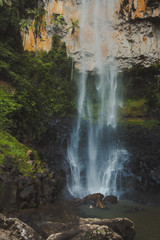 Waterfall in the rainforest