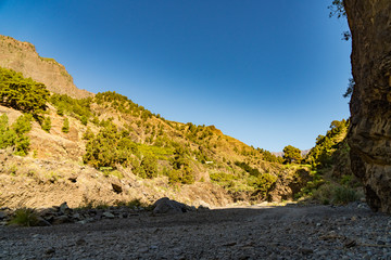 At the hiking trail National Park Caldera de Taburiente near Los Llanos de Aridane, La Palma Islands, Spain
