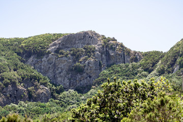 big view over forest valley to a big rock