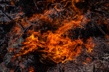 Flaming fire. Burning tree branches. Pagan rite dedicated to the arrival of spring. Big bonfire on Shrovetide. 