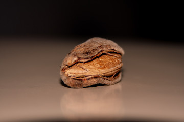 close up from a almond with skin