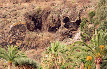 Typical caves on the mountain in tenerife