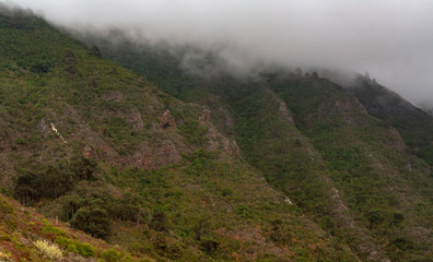 Typical clouds over the mountain in tenerife