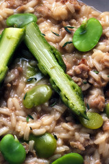 Risotto con vicia faba y  asparagus officinalis ft7105_9372 Cucina italiana Italian cuisine