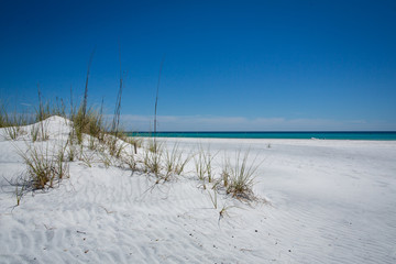 sand dunes on the gulf of mexico beach