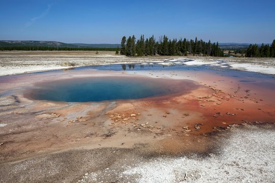 Opal Pool, Midway Geyser Basin, Yellowstone National Park, Wyoming, USA, North America