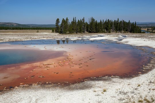 Opal Pool, Midway Geyser Basin, Yellowstone National Park, Wyoming, USA, North America