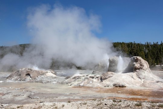 Grotto Geyser, Upper Geyser Basin, Yellowstone National Park, Wyoming, USA, North America