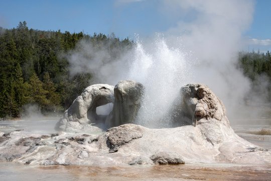 Grotto Geyser, Upper Geyser Basin, Yellowstone National Park, Wyoming, USA, North America