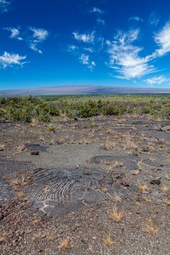 Pahoehoe lava from Kilauea volcano eruptions, with Mauna Loa volcano in the background, Ka'u Desert, Hawai'i Volcanoes National Park, Big Island of Hawai'i, USA, North America