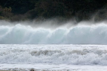 南伊豆　弓ヶ浜の大波