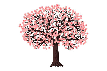 Spring Flowering Tree