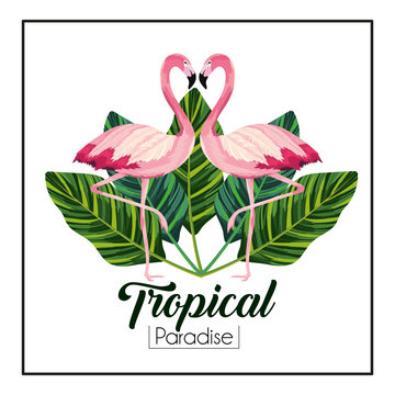 tropical flamingos couple with leaves plants