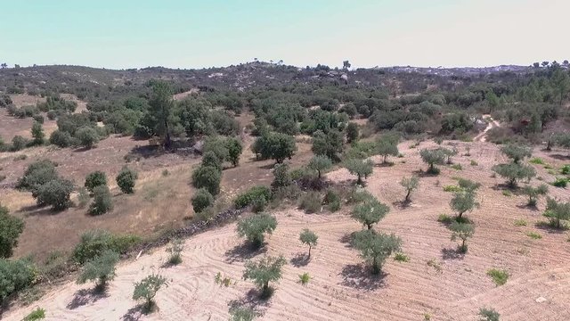 Hil Almeida, Portugal