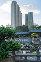 Fototapeta premium Temple