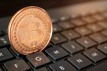 Bitcoin & Cryptocurrency