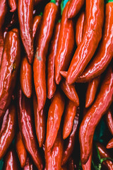 red hot chili peppers