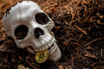 Bitcoin is dead - bones & skull