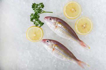 Fresh raw fish and lemon on ice background in the seafood supermarket