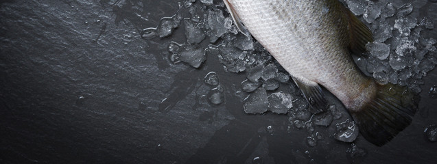 Fresh sea bass fish for cooking / Raw seabass on ice ocean gourmet on dark background in the restaurant