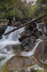 Fototapeta premium La Victoria River, Sierra Nevada National Park, Mérida - Venezuela