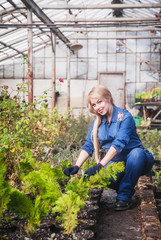 Pregnant woman working with flowers at greenhouse.