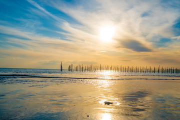 知多半島の海辺