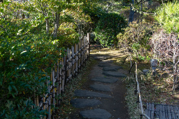 Japanese traditional garden