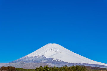 初春の富士山