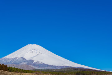Fototapeta premium 初春の富士山